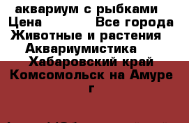 аквариум с рыбками › Цена ­ 1 000 - Все города Животные и растения » Аквариумистика   . Хабаровский край,Комсомольск-на-Амуре г.